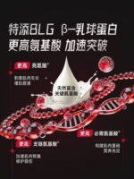 增肌蛋白粉Protein Powder - Image 4