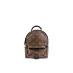 路易威登MINI Palm Springs双肩背包 - Image 2