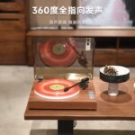 黑胶唱片机Record Player - Image 2