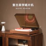 黑胶唱片机Record Player - Image 4
